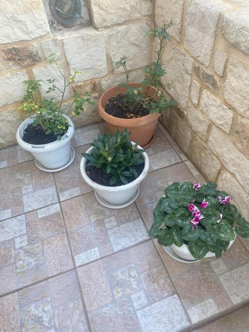 New Lovely Apartment In Heraklion Eksteriør billede